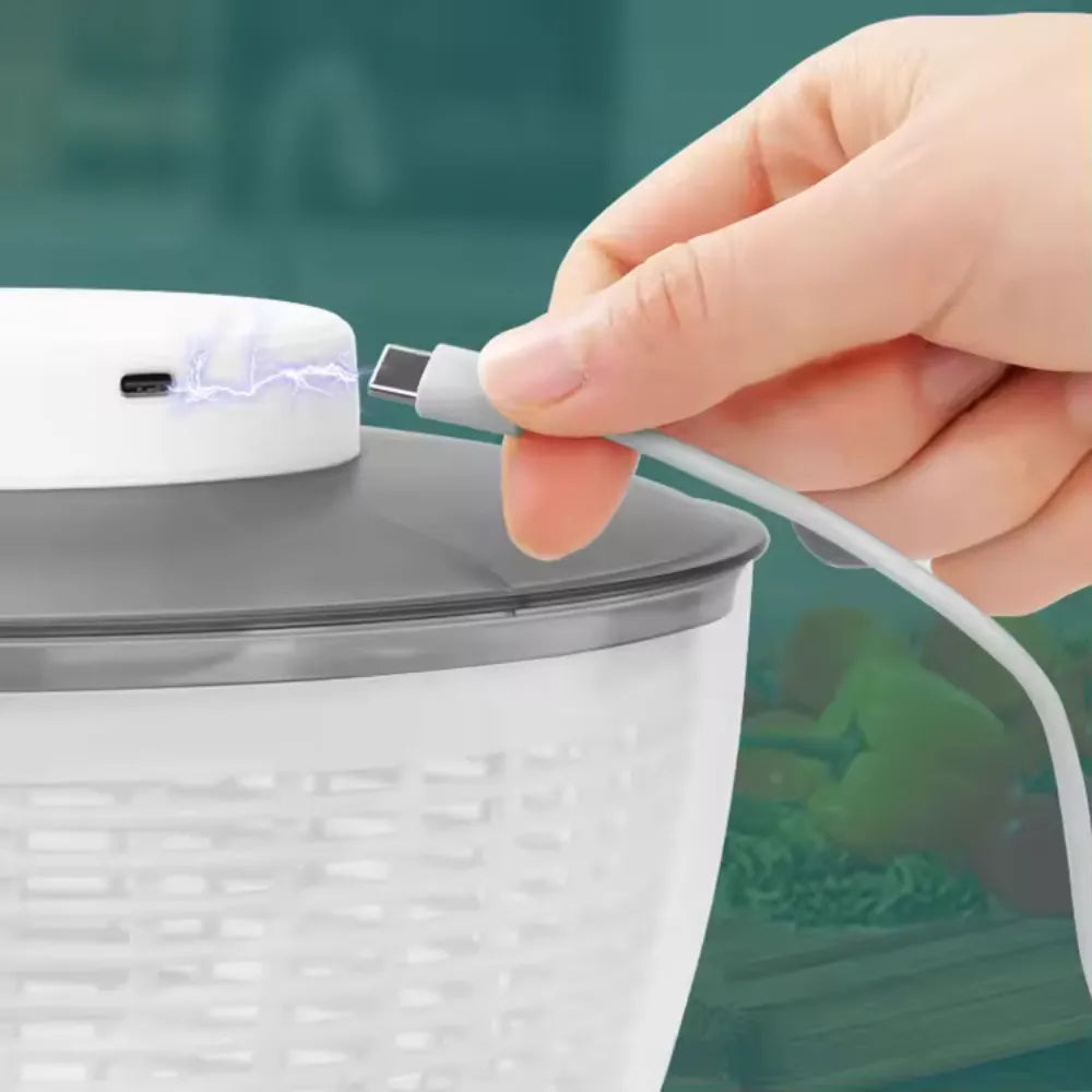 Secador Elétrico de Frutas e Vegetais - Loc Stop